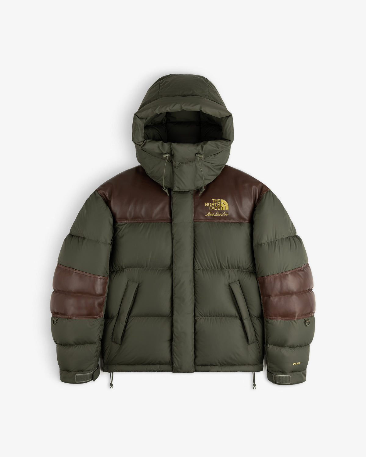 ALDとTHE NORTH FACEのBaltoro Jacket。オリーブ色の本体にブラウンの切り替え